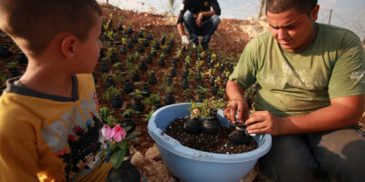 A man and a child in Palestine are planting flowers in tear gas canisters.