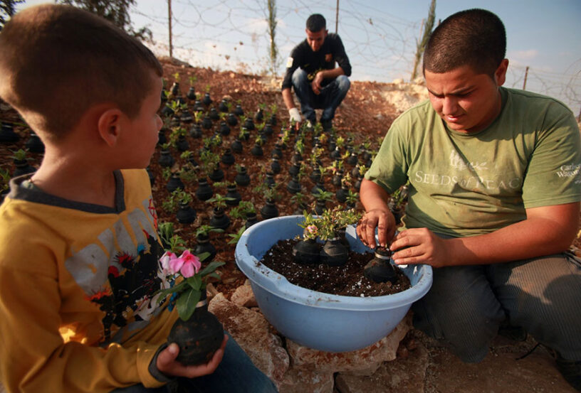 A man and a child in Palestine are planting flowers in tear gas canisters.